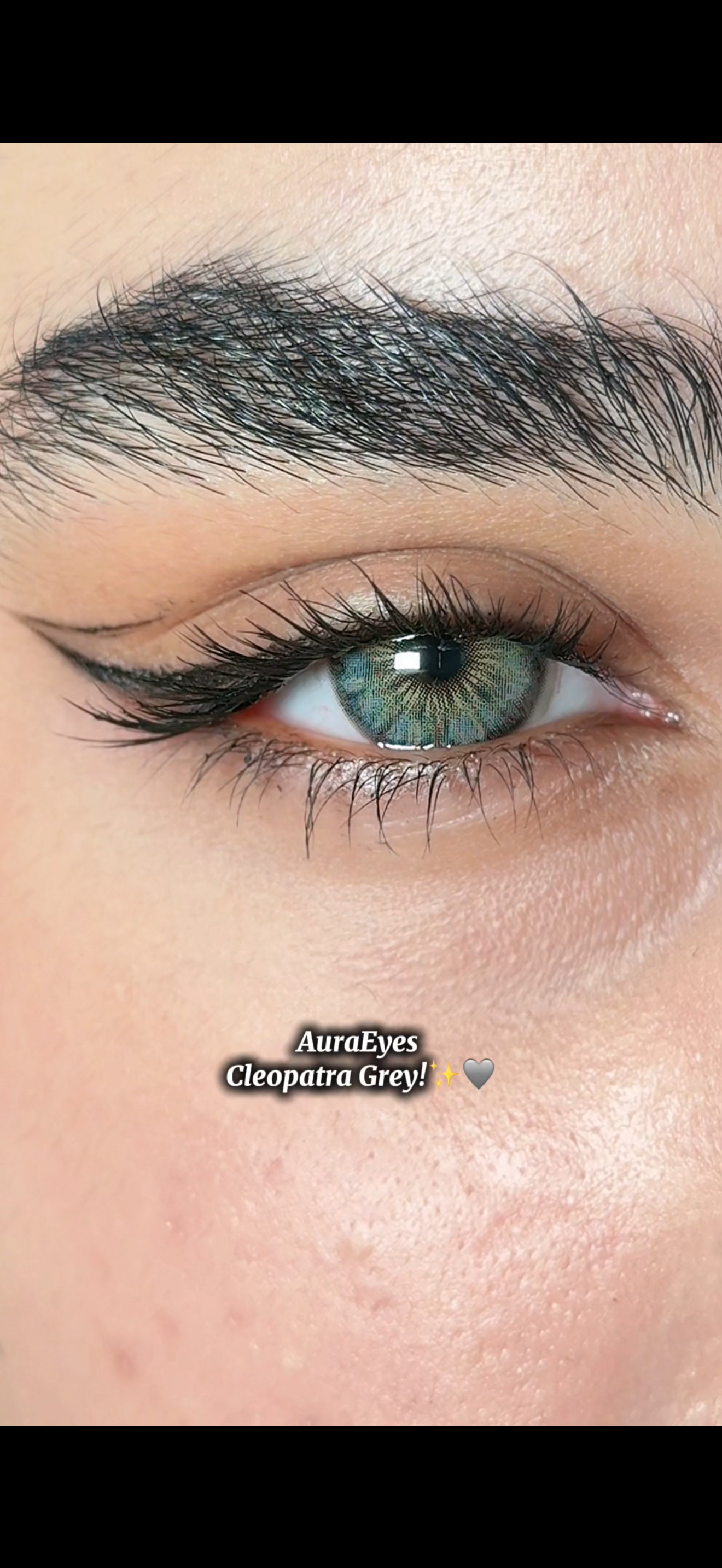 Cleopatra Grey!✨🩶